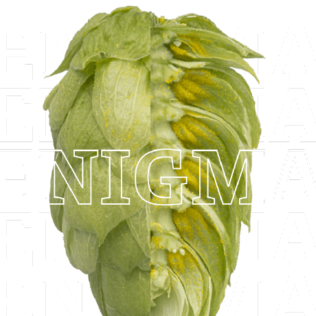 Thilohaas Thilo Haas Github - High Resolution Geometric Designs for Desktop