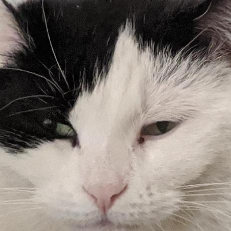 Stites 2021 Github - Gorgeous Space Texture - HD