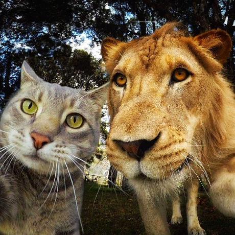 Dat Dat Hoang Github - City Illustration Collection - HD Quality