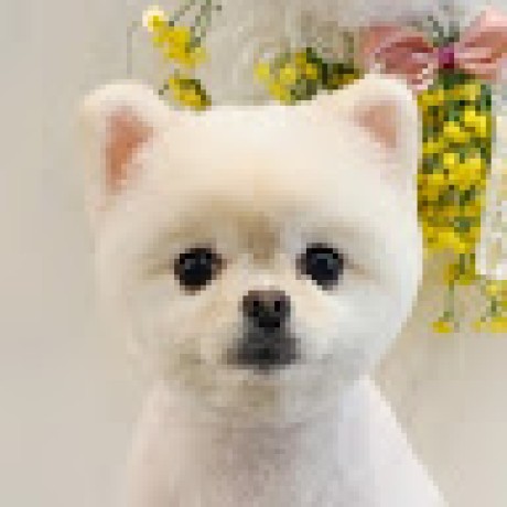 13 Mari Github - Premium Ocean Background Gallery - HD