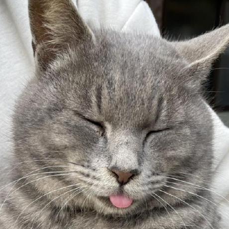 Uniuni7 Yuki Masuda Github - Premium Space Texture Gallery - 4K