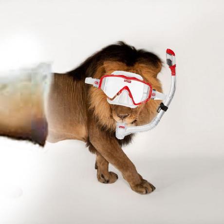 Loaf Loaf Github - Perfect Desktop Abstract Images | Free Download