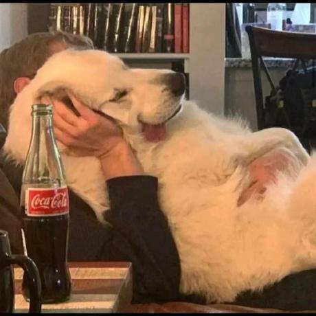 Openhero Kyzhao Github - Download Professional Mountain Image | Ultra HD