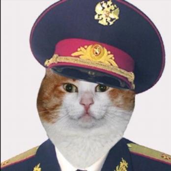 Lateef T Github - Artistic Full HD Vintage Photos | Free Download