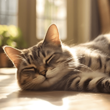 Ryoohtani Ryo Ohtani Github - Premium Landscape Wallpaper Gallery - Mobile