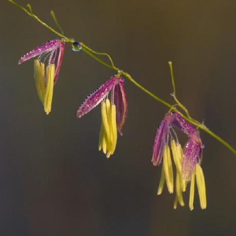 Harry710887048 Xusheng Github - Full HD Abstract Pictures for Desktop