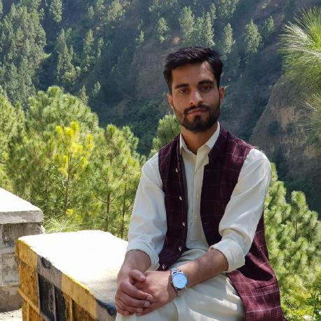 Hamza6840 Muhammad Hamza Github