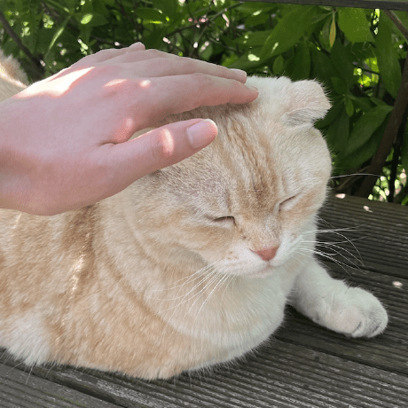 Github Seeun K Sparta - Download Beautiful Sunset Art | 8K