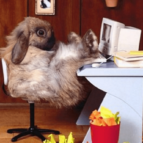 Github Kesesek Stardewvalleymapteleport A Map Teleporting Mod - Mountain Photo Collection - Full HD Quality