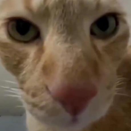 Extraghosty Ghosty Github - 8K Landscape Wallpapers for Desktop