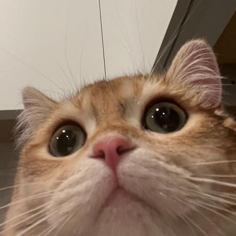 Aazenkoff Anton Zenkov Github - Mountain Wallpaper Collection - Retina Quality