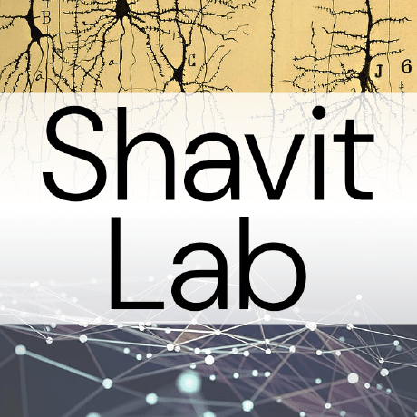 Tomer Shavit Github - Best Dark Images in High Resolution