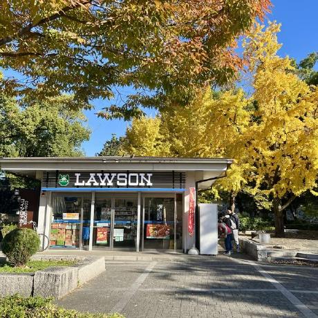 Thai22011 Thai Github - Beautiful 4K Landscape Illustrations | Free Download