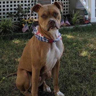 J Strickland Github - Download Modern Landscape Illustration | Ultra HD