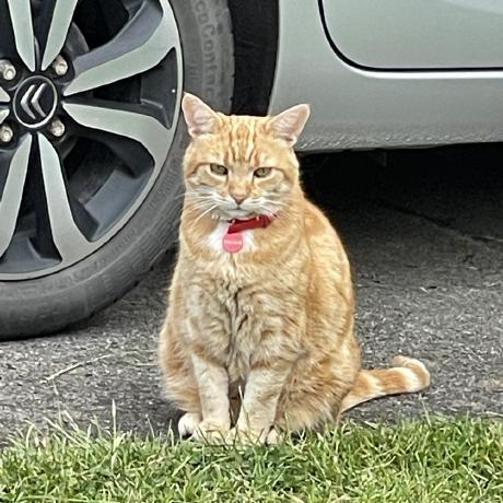 Oliviauk01 Olivia Szu Hsien Lee Github - Classic Colorful Image - 8K