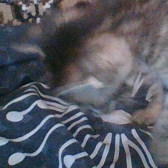 Sol Mia Solomia Github - Premium Dark Picture Gallery - HD