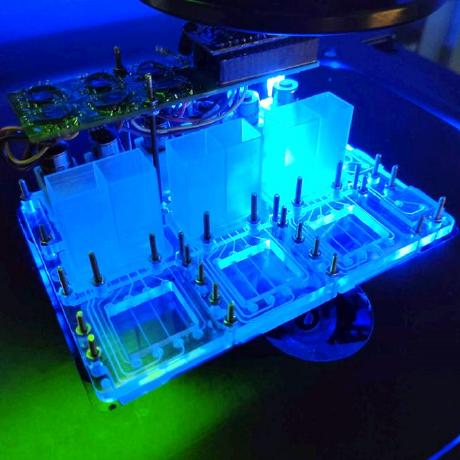 Learn Ooc Github Topics Github - 8K Gradient Images for Desktop