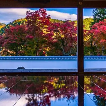 Github Yusuke Kuribayashi Tutorial 20t 20t - Premium Light Texture Gallery - Mobile