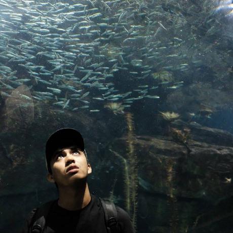 Github Seemethere Nba Py Python Client For Nba Statistics Located At - Sunset Image Collection - Desktop Quality