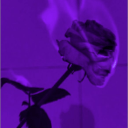 Magrotten Matt Github - Full HD Abstract Illustrations for Desktop