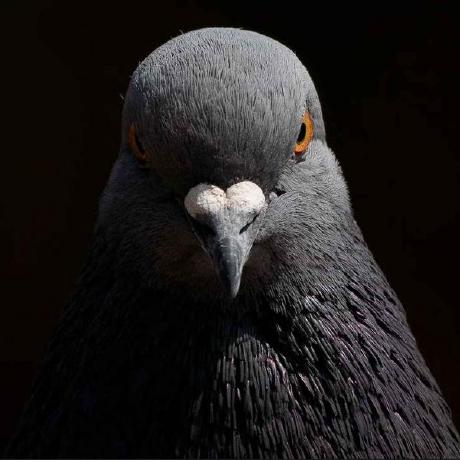 Keirans Productions Github - City Photos - Beautiful Full HD Collection