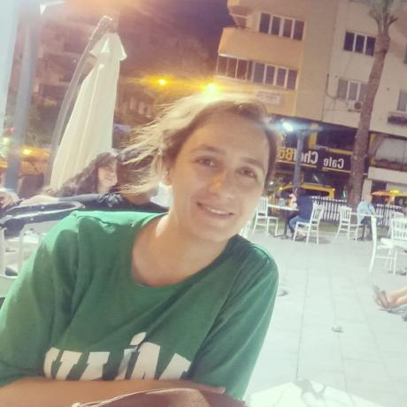 Asgarovarzu Asgarov Arzu Github - Mobile Mountain Illustrations for Desktop