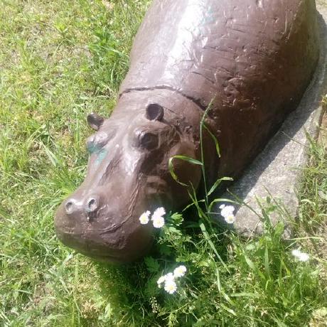 Github Sakai Memoru Docopt Sample - Premium Colorful Background Gallery - High Resolution