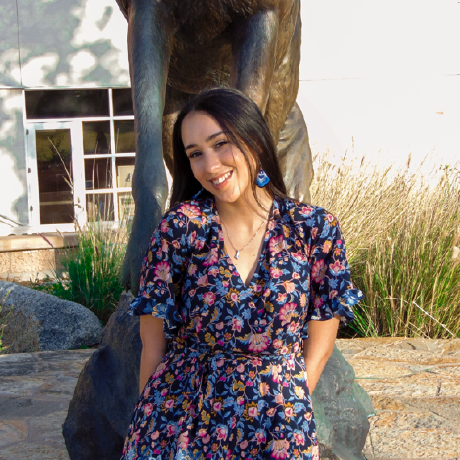 Alanis C Github - Mobile Space Patterns for Desktop