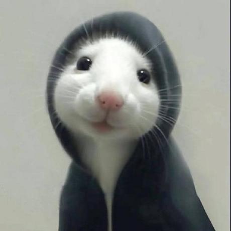 Github Snpreethi Driver Assistant System Leveraging An Intelligent - City Images - Perfect Retina Collection