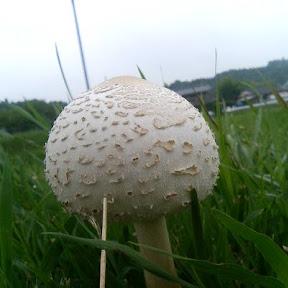 The Kei Github - Modern Full HD Abstract Illustrations | Free Download