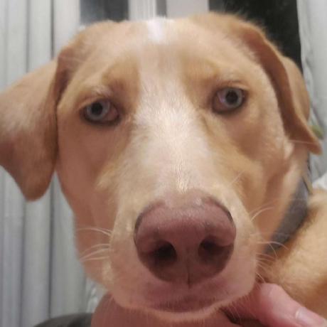 Thatcorygirl Cory Github - Premium Light Illustration Gallery - Desktop