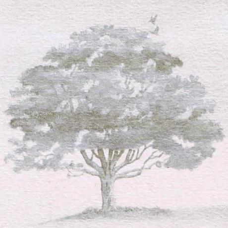 Paulinakania Paulina Kania Github - Creative Retina Geometric Wallpapers | Free Download