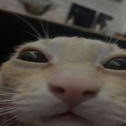 0 0o Github - Vintage Illustrations - Incredible Ultra HD Collection