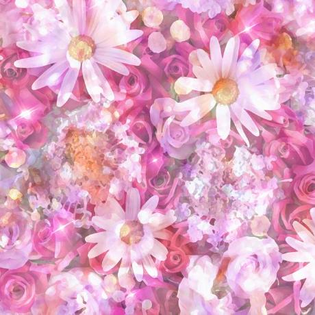 Kaorine Kaori Github - Premium Minimal Photo Gallery - Retina