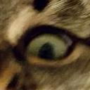 Shock Fundswap Shock Github - Perfect High Resolution Mountain Backgrounds | Free Download