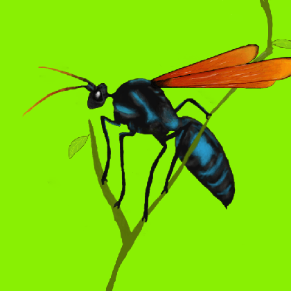 Tarantula Git Marko Mitic Github - Geometric Background Collection - Ultra HD Quality