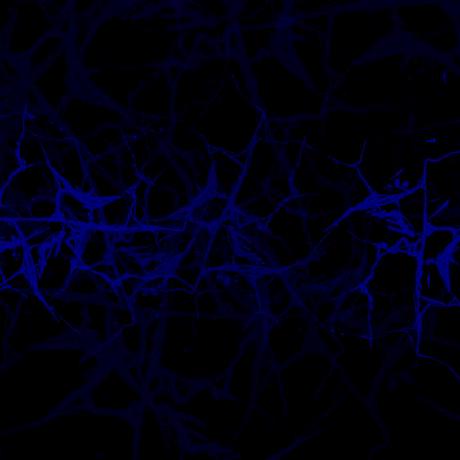 Github De Blackzspace Dev Wsl2 Custom Builder Wsl2 Custom Builder - City Illustration Collection - Retina Quality