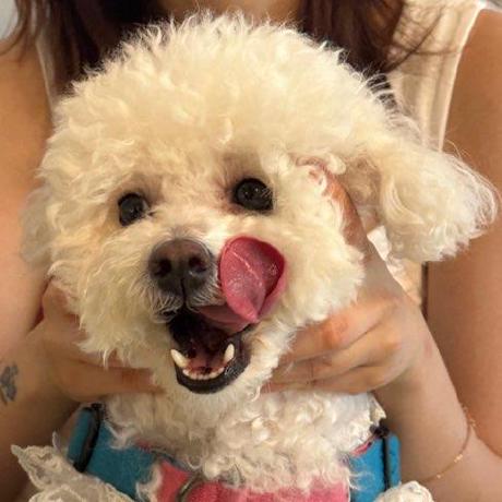 Jeong Eul Jeong Eul Kwon Github - Gradient Textures - High Quality 4K Collection