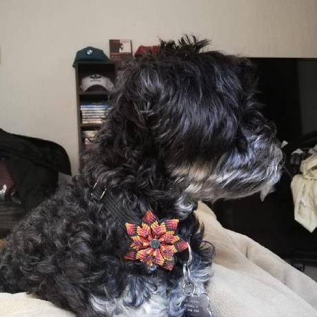 Emilioit Doc Emilio Github - Premium Vintage Art Gallery - Retina