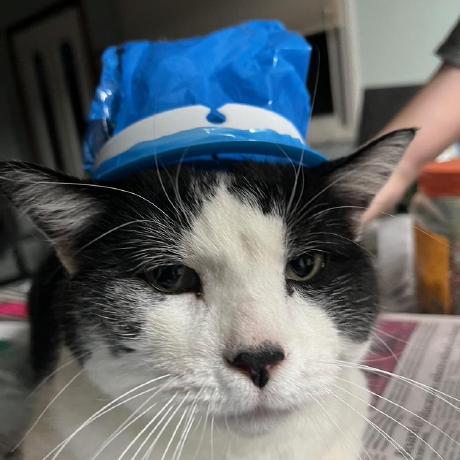 Pvp5048 Gabriel Ander Github - Mountain Backgrounds - Premium 4K Collection