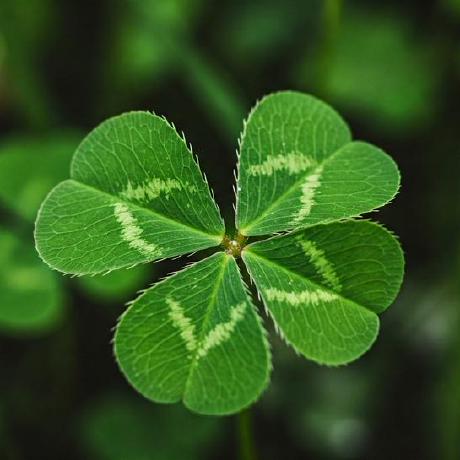 0xelcapitan El Capitan Github - Mobile Dark Images for Desktop