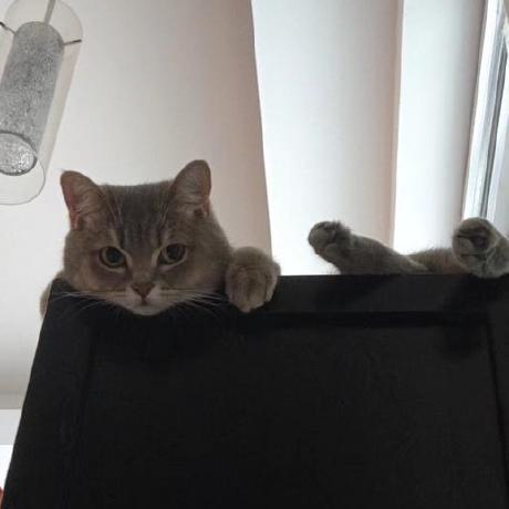 Releases Zh Xijun Supersuinstaller Github - Nature Art Collection - 4K Quality