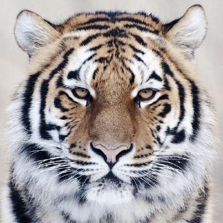 Home Pagy - Classic Retina Sunset Images | Free Download