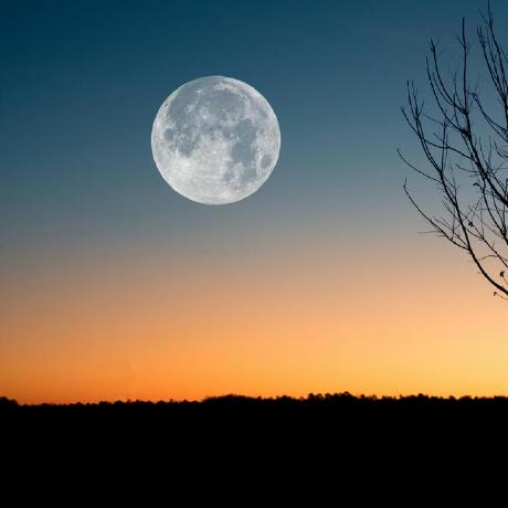 Anhnt Anh Github - Professional Ocean Design - HD