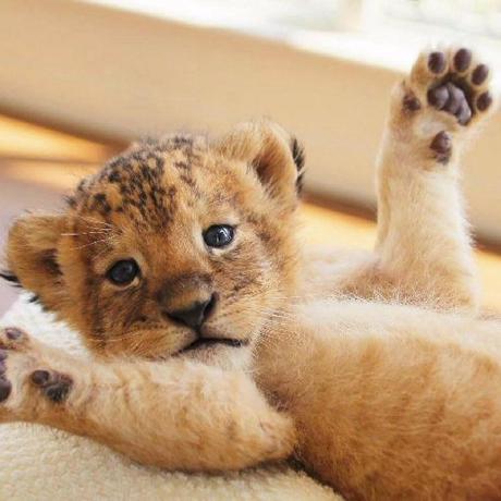 Ziqi M Ziqi Meng Github - Colorful Designs - Creative Full HD Collection