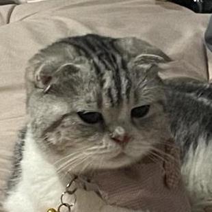 To North Github - High Quality Vintage Art - Retina