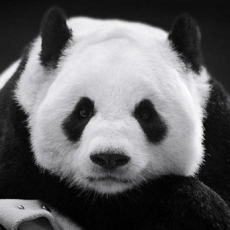 Artkunggg Panuwat Github - Stunning Mobile Sunset Designs | Free Download