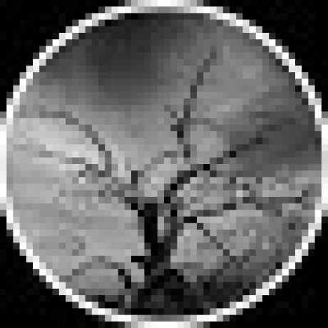 Dokliplife Github - Best Geometric Designs in Full HD