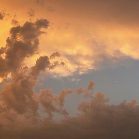 Xdxweb Dee Github - Ocean Picture Collection - High Resolution Quality