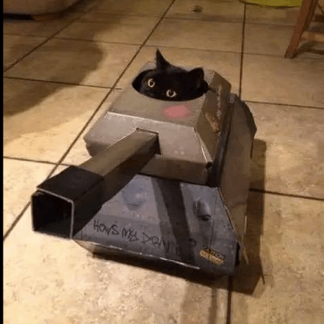 Danu Rifai Danurifai Github - Download Creative Nature Photo | Desktop